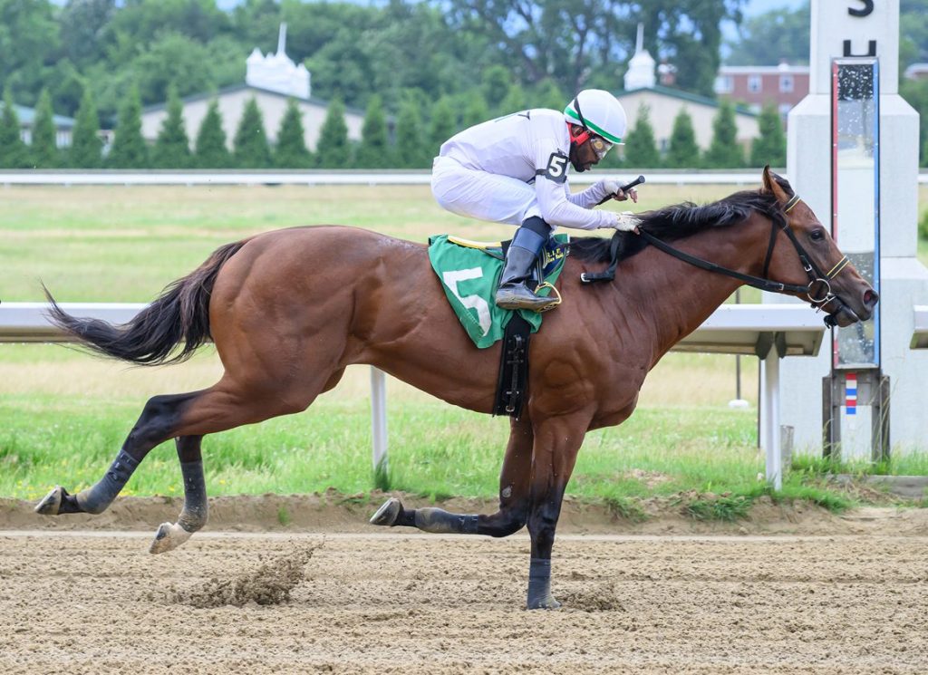 Thistledown en vivo: Retrospecto de carreras americanas para hoy MasterBets365.com