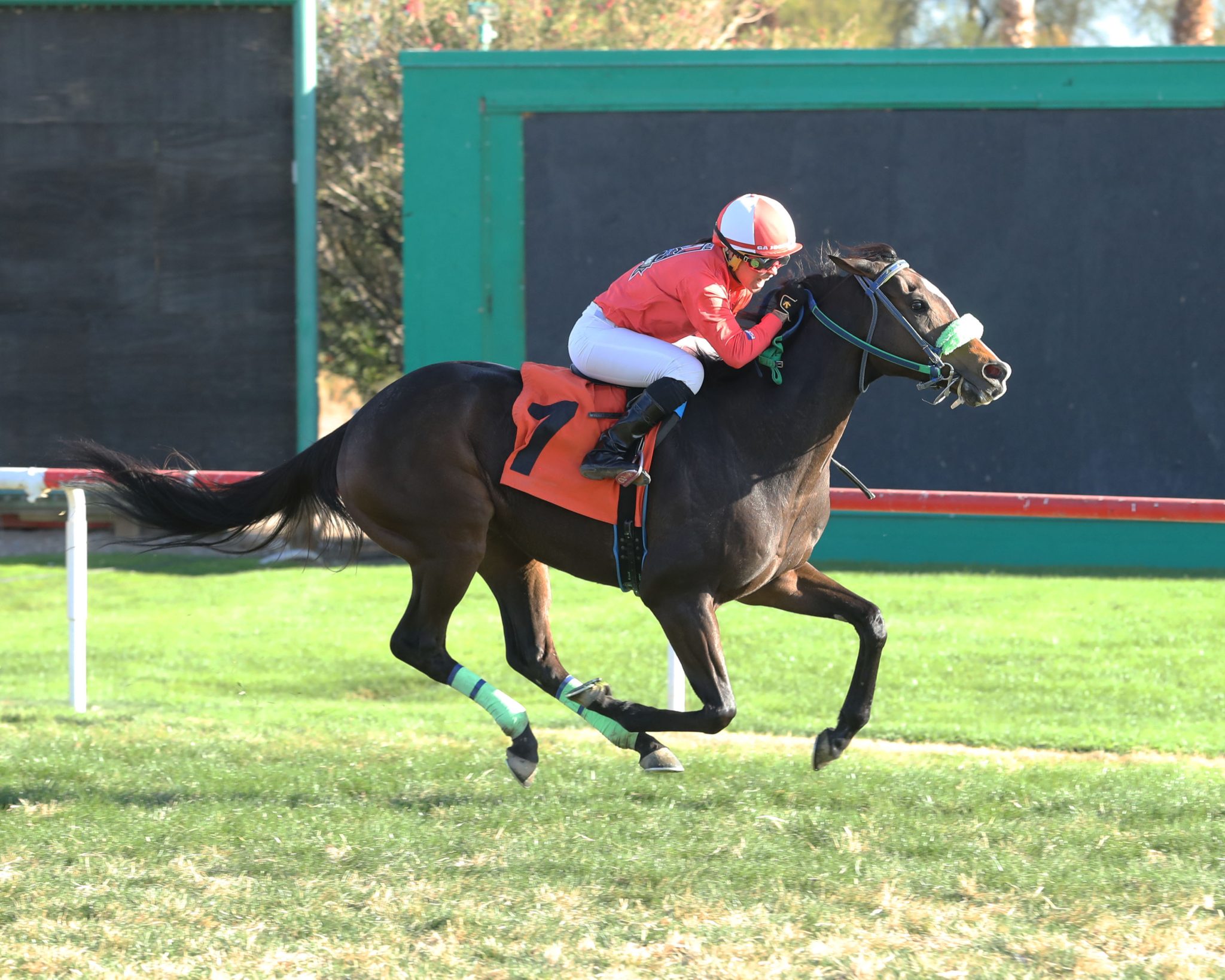 Datos Turf Paradise: Retrospecto de carreras americanas para hoy MasterBets365.com