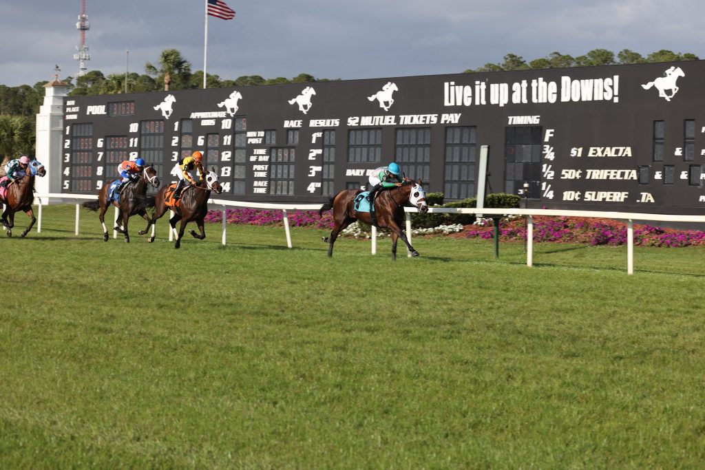Tampa bay downs pronósticos: Datos hipismo internacional MasterBets365.com