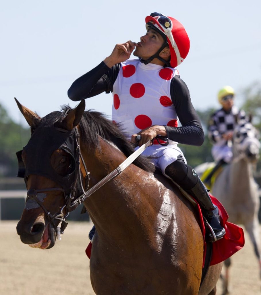 Resultado tampa bay downs hoy: Datos hipismo internacional MasterBets365.com