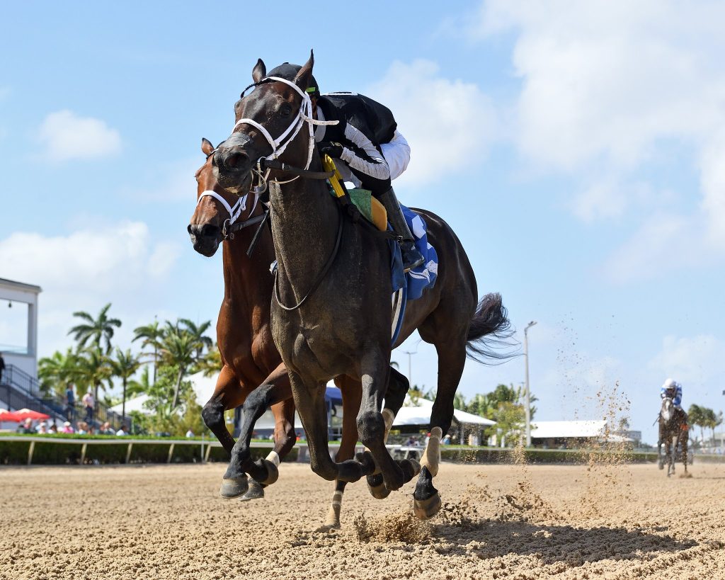 Datos fijos de Gulfstream Park: Resultados carreras de caballos hoy MasterBets365.com