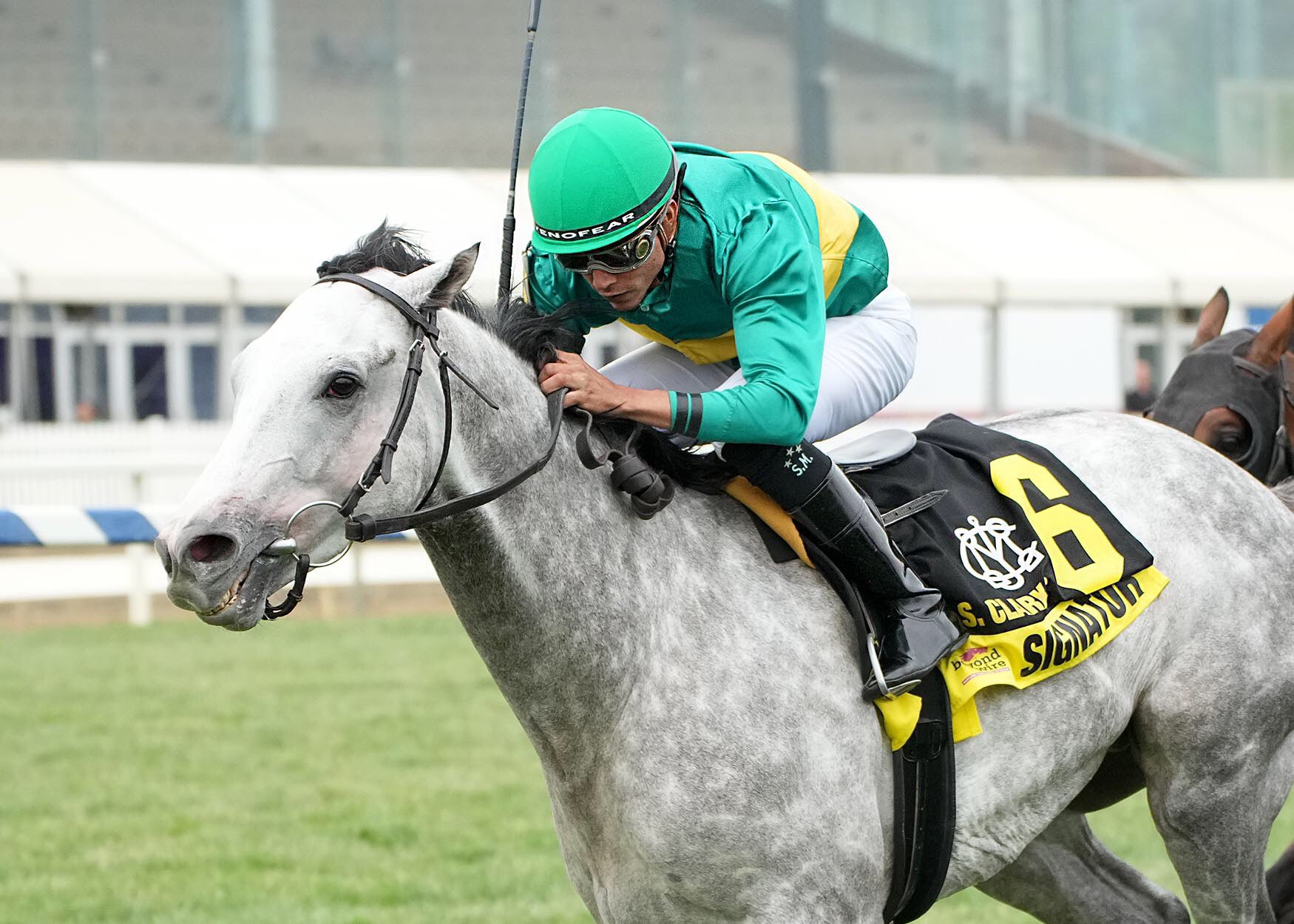 Marcas tampa bay downs: Hipismo internacional datos Masterbets365.com