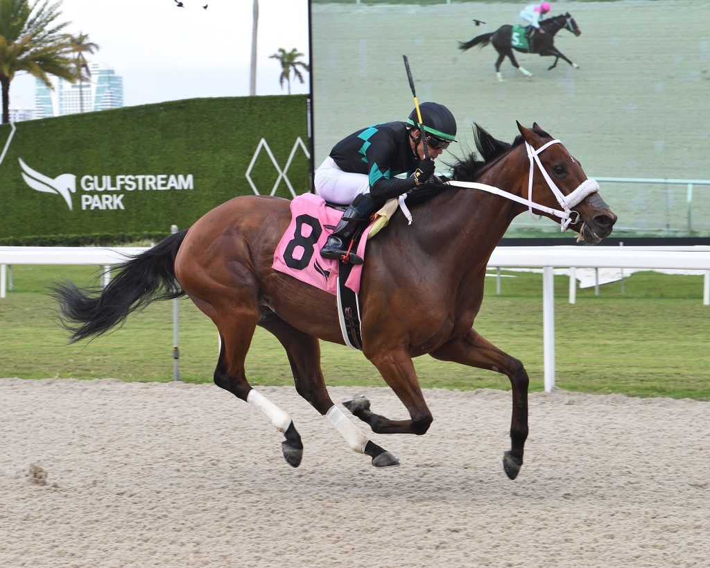 Resultados gulfstream park hoy: Datos de carreras americanas MasterBets365.com