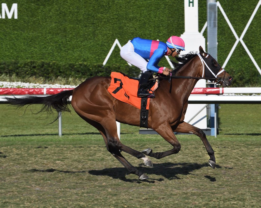 Datos fijos de Gulfstream park: Hipismo internacional datos MasterBets365.com