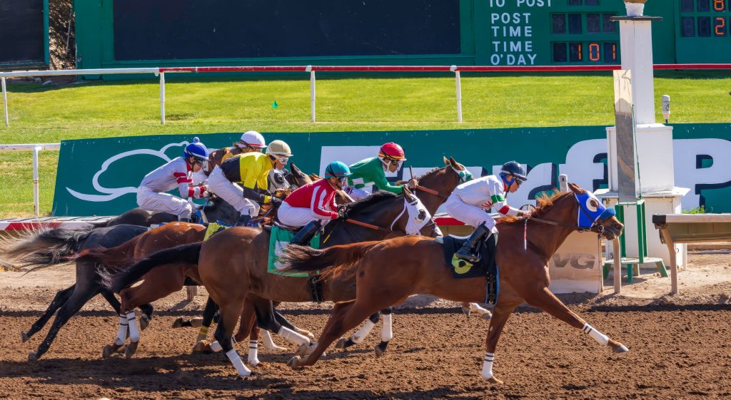 Datos turf paradise hoy: Apuestas de caballos internacionales MasterBets.com