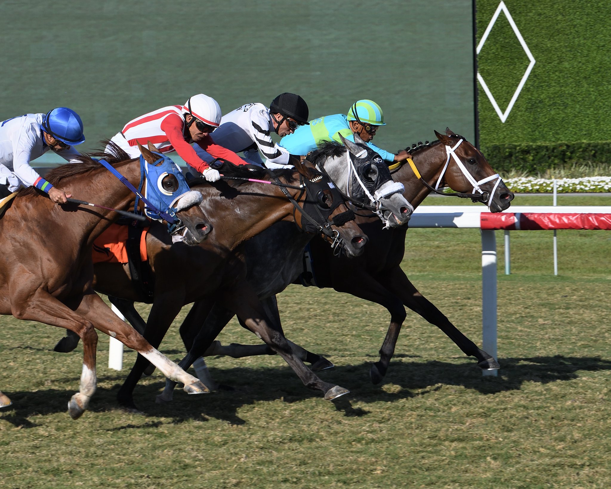 Carreras Americanas Gulfstream Park: Datos hipismo internacional MasterBets365.com