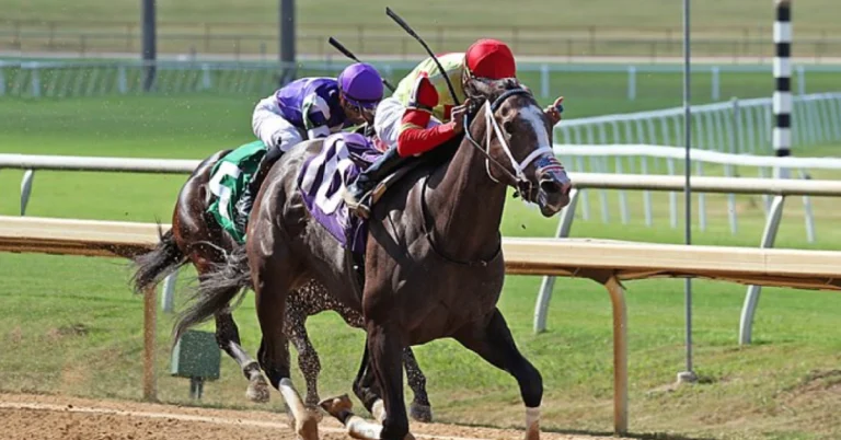 Horseshoe Indianapolis Results: Apuestas de caballos internacionales MasterBets365.com