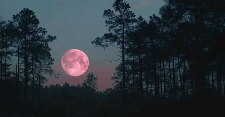 Luna llena en libra: Luna rosa ritual de luna lllena para soltar MasterBets365.com