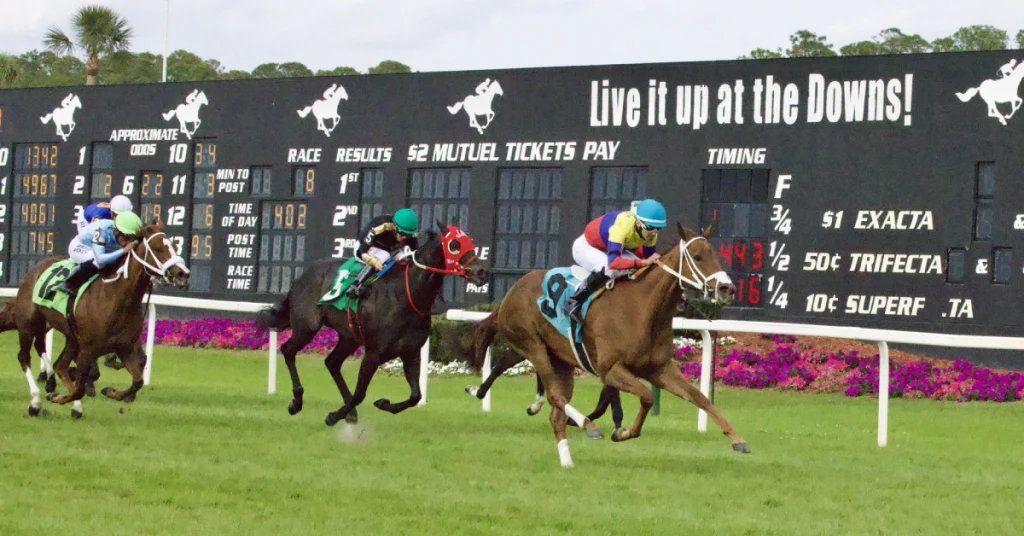 Marcas Tampa bay downs: Apuestas de caballos online MasterBets365.com