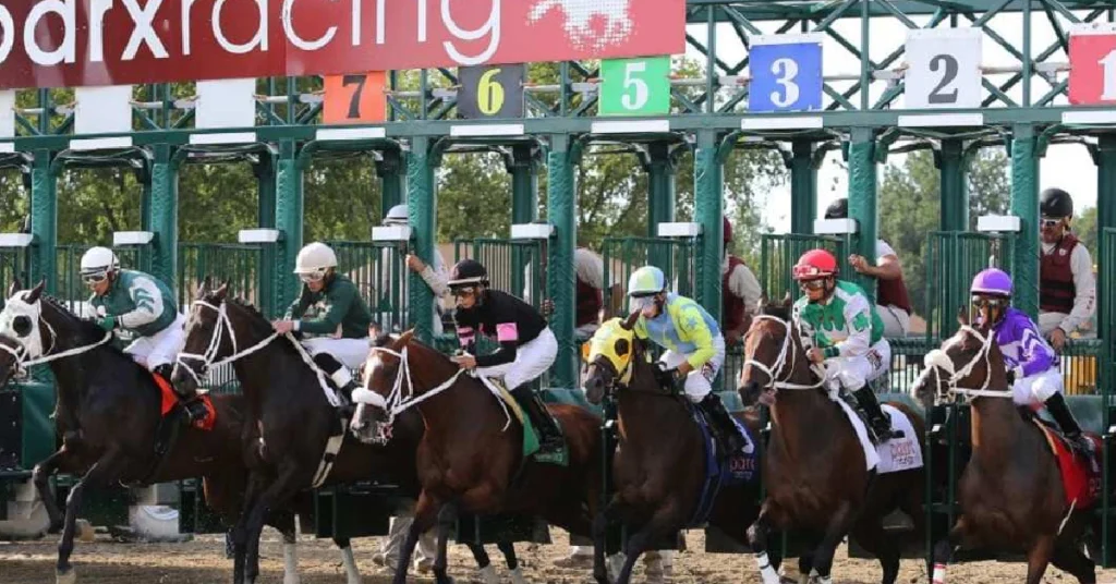 Marcas carreras americanas: Resultados de parx racing de hoy MasterBets365.com