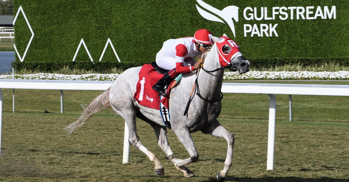 Datos de gulfstream park hoy gratis: Apuestas de caballos internacionales MasterBets365.com