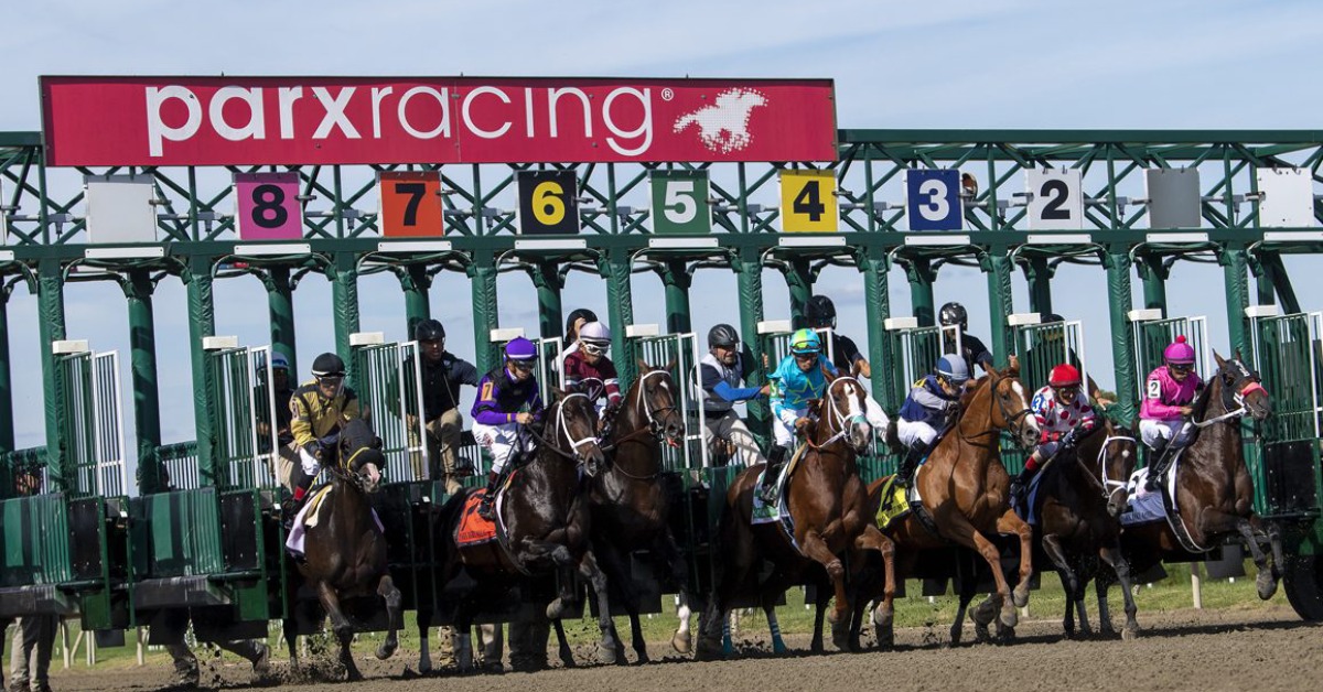 Resultados carreras parx racing hoy: Apuestas de caballos internacionales MasterBets365.com