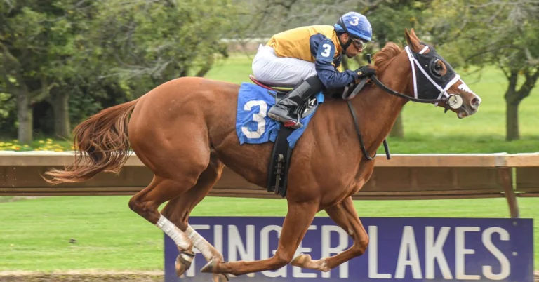 Resultados Finger Lakes_ Datos hipismo internacional MasterBets365