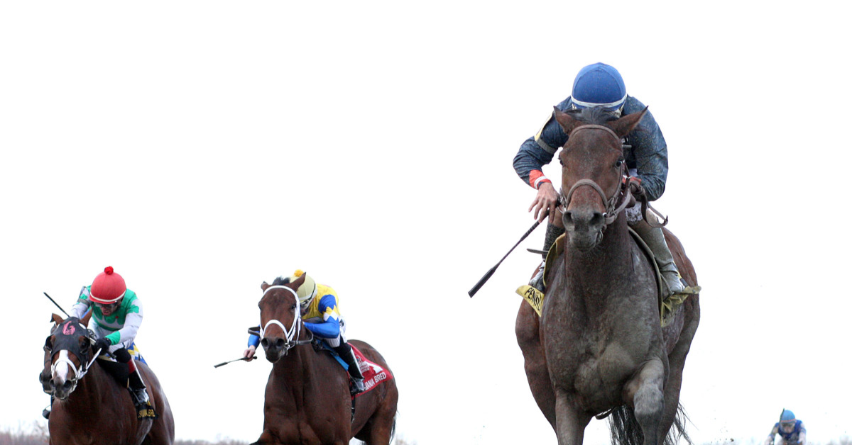 Parx racing hoy: Apuestas de caballos internacionales MasterBets365.com