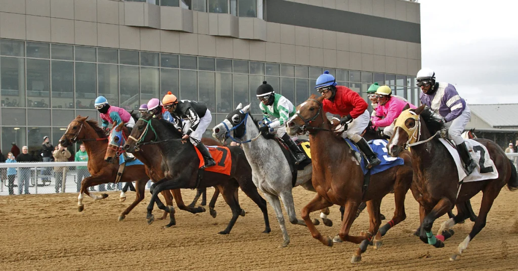 Resultados carreras de caballos hoy: Mahoning Valley datos MasterBest365.com
