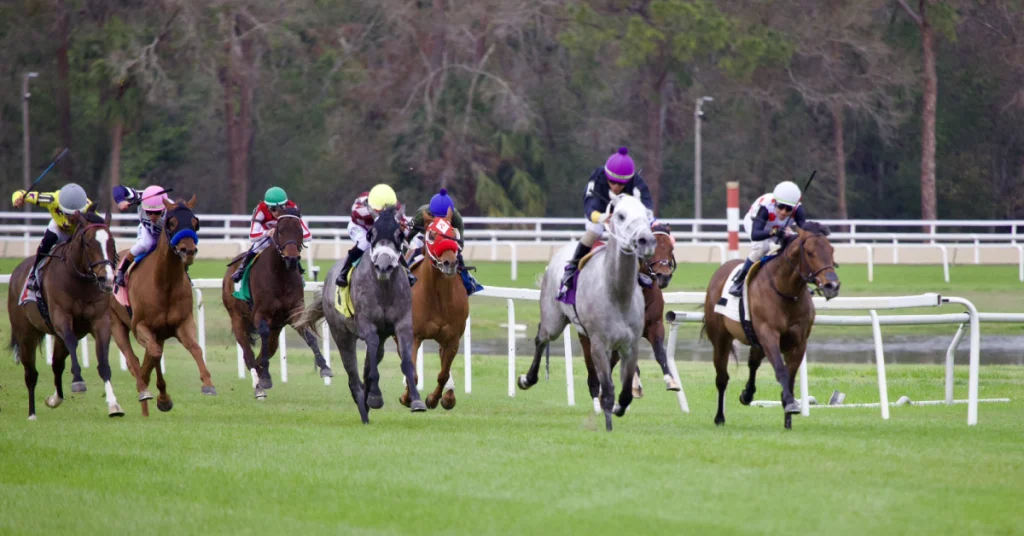 Tampa bay downs pronósticos: Hipismo internacional datos MasterBets365.com