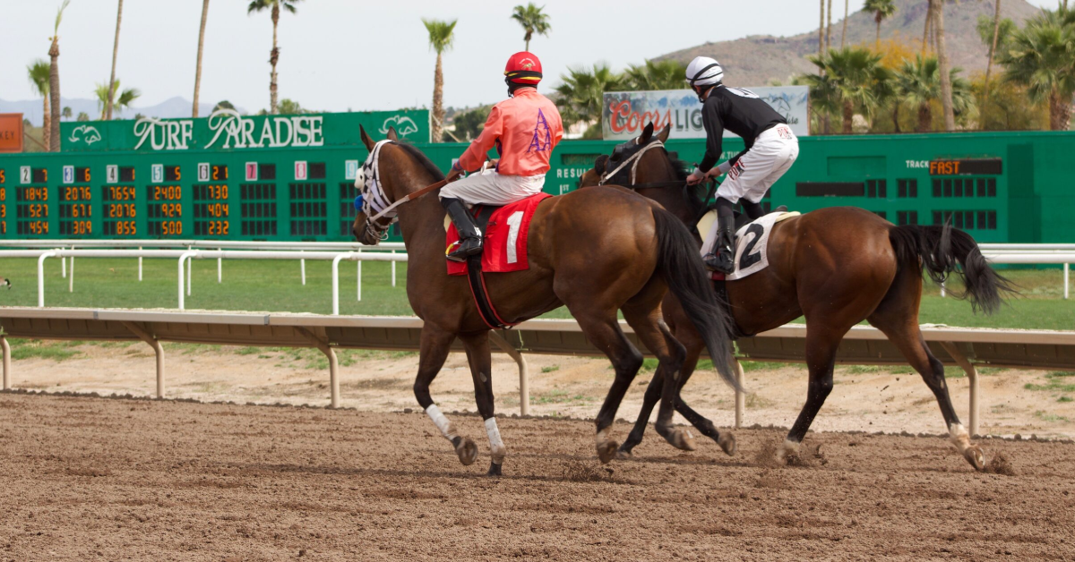 Turf Paradise en vivo: Resultados carreras de caballos hoy Masterbets365.com