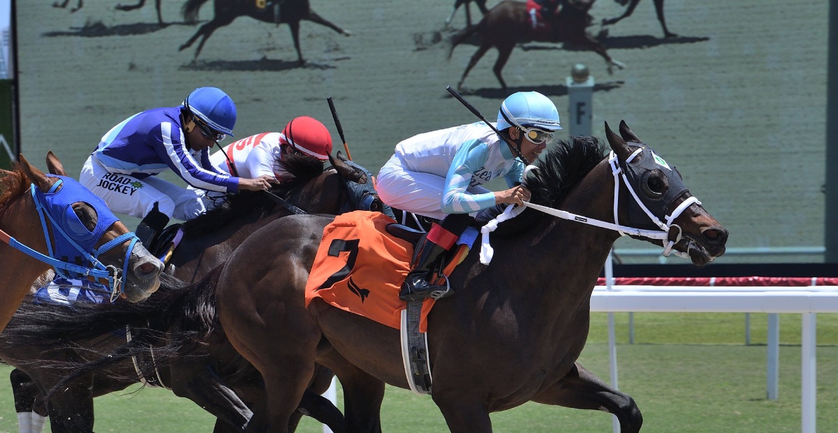 Datos Gulfstream Park - Carreras americanas 17 de Mayo MasterBets365 apuestas hipicas internacionales