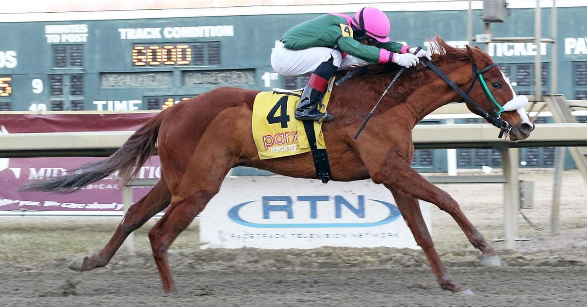 Datos parx racing hoy: Marcas americanas MasterBets365.com