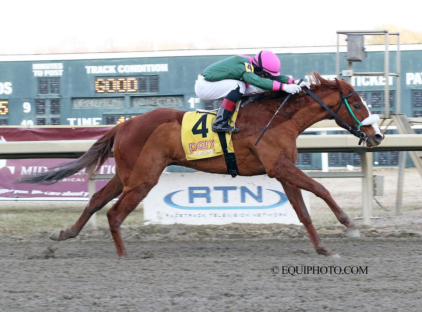 Datos parx racing hoy: Marcas americanas MasterBets365.com