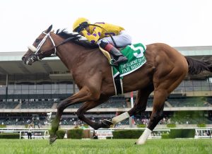 Resultados belmont at the big: Marcas para las carreras americanas MasterBets365.com