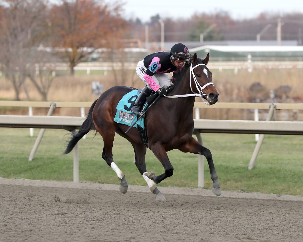 Parx racing resultados: Carreras americanas en vivo hoy MasterBets365.com