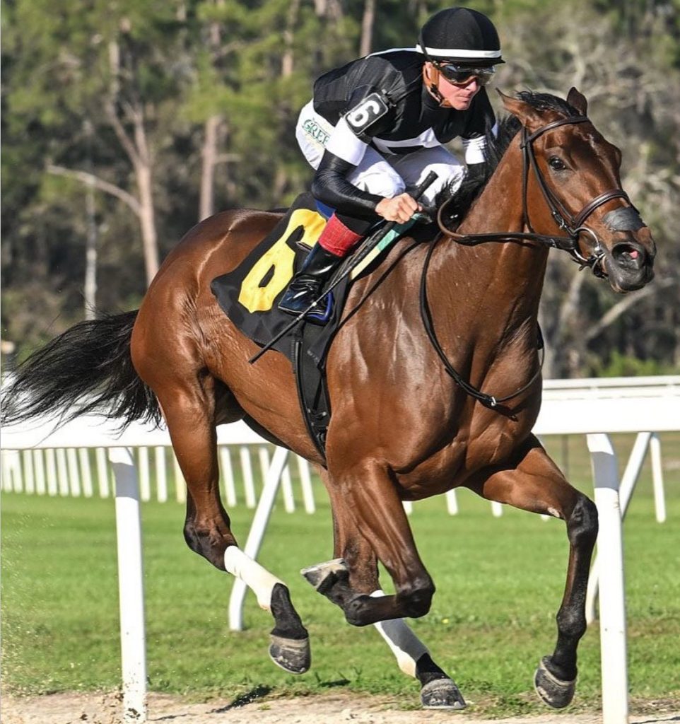 Tampa bay picks: Pronósticos carreras americanas Masterbets365.com