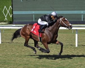 Gulfstream park picks: Dividendos carreras americanas Masterbets365.com