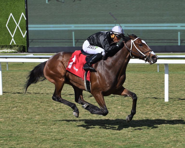 Gulfstream park picks: Dividendos carreras americanas Masterbets365.com