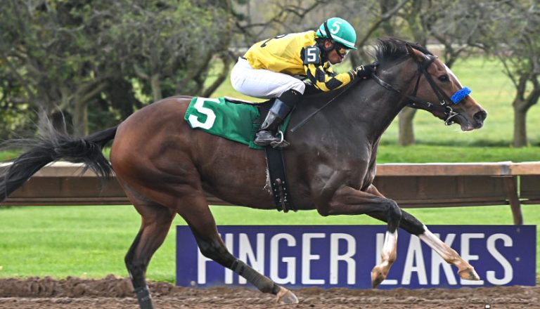 Finger Lakes hipódromo: Apuestas de caballos internacionales MasterBets365.com
