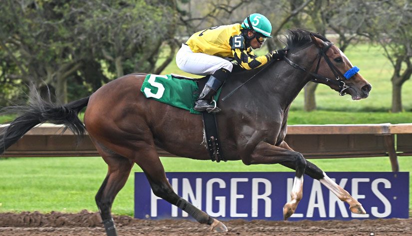 Finger Lakes hipódromo: Apuestas de caballos internacionales MasterBets365.com