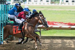 Thistledown picks: Datos hípicos internacionales para hoy MasterBets365.com