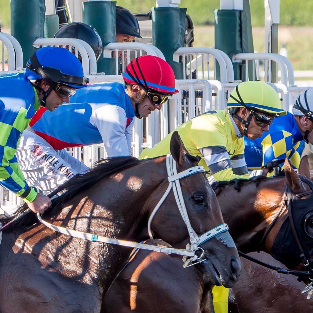 Datos santa anita park: Datos de carreras americanas MasterBets365.com