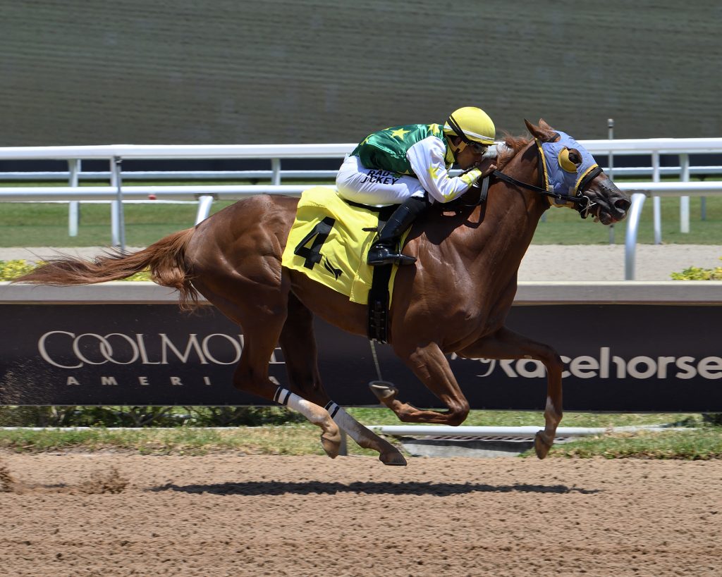 Retrospecto Gulfstream Park: Marcas para las carreras americanas Masterbets365.com