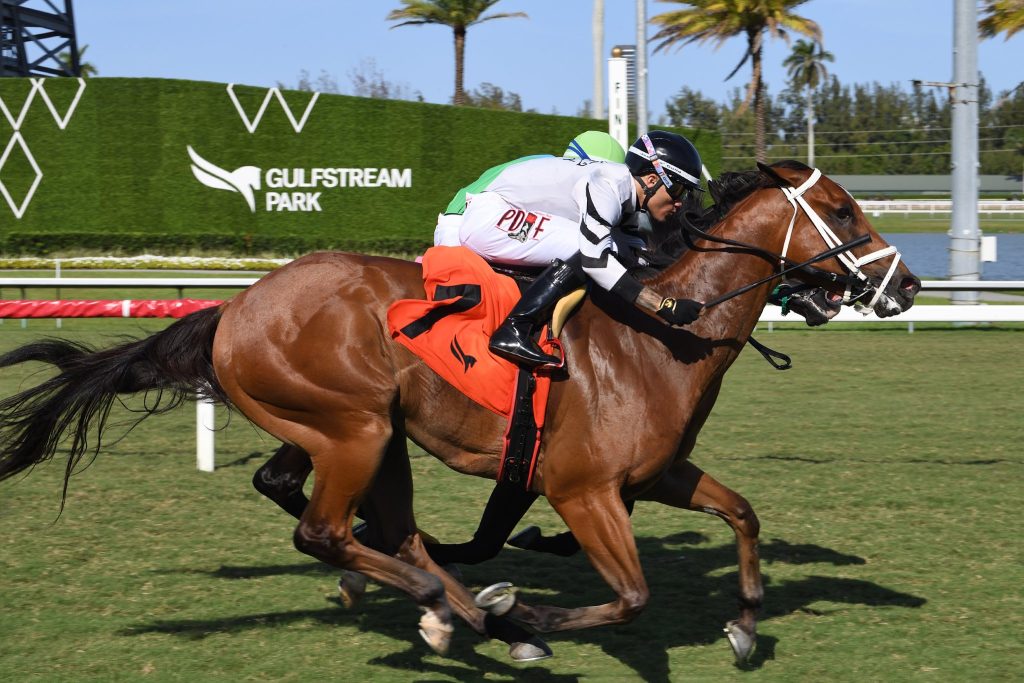 Resultados Gulfstream Park hoy: Retrospecto de carreras americanas para hoy MasterBets365.com