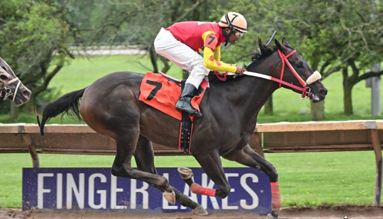 Finger lakes resultados: Apuestas de caballos internacionales MasterBets365.com
