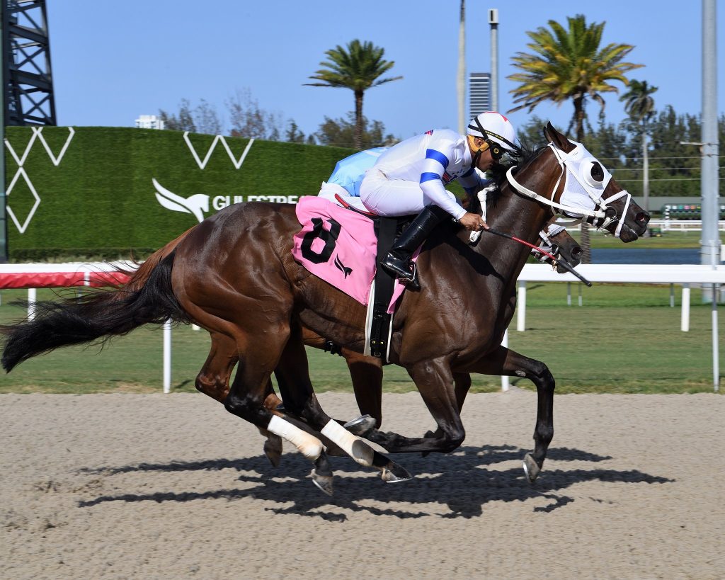Datos de Gulfstream Park hoy gratis: Apuestas de caballos internacionales MasterBets365.com