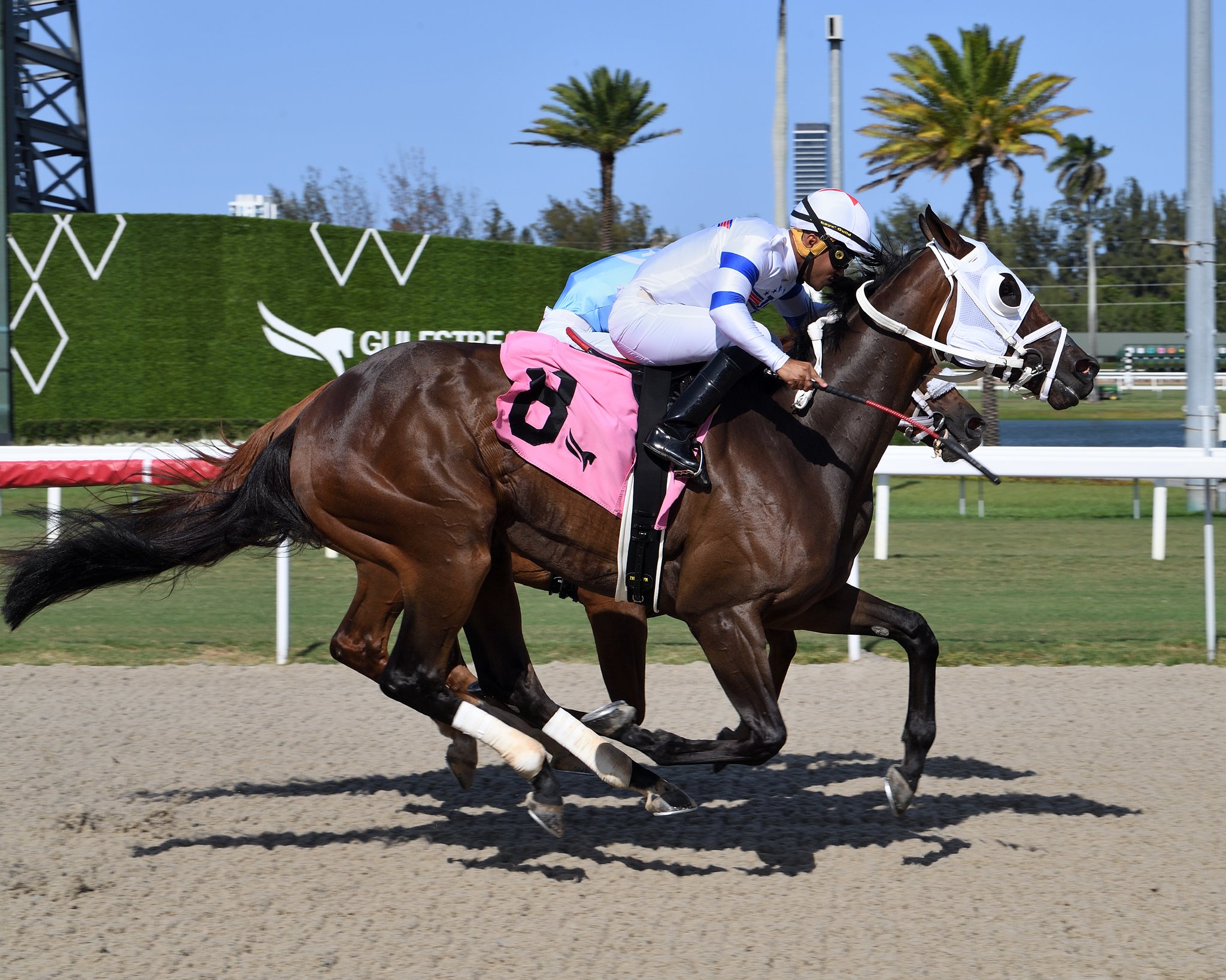 Datos de Gulfstream Park hoy gratis: Apuestas de caballos internacionales MasterBets365.com