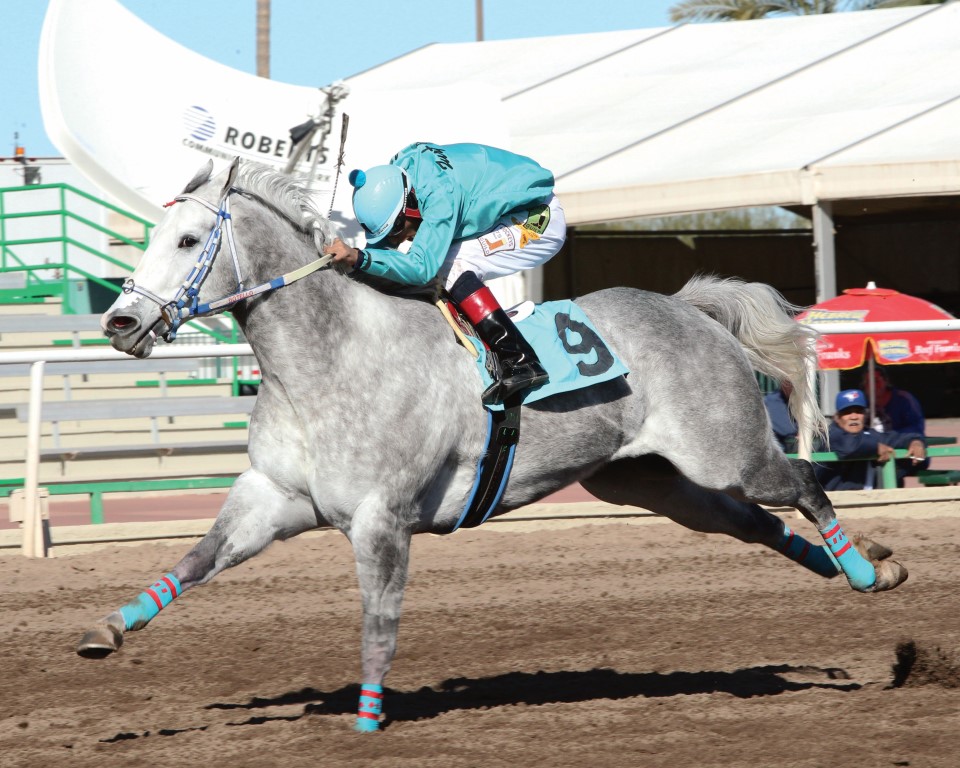 Marcas carreras americanas: Handicapper finger lakes MasterBets365.com