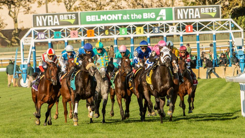 Datos Belmont At The Big: Resultados Belmont At The Big picks para hoy