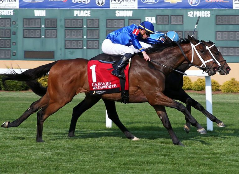 GIGANTE-Caesars-2023-Horseshoe-Indianapolis-Coady