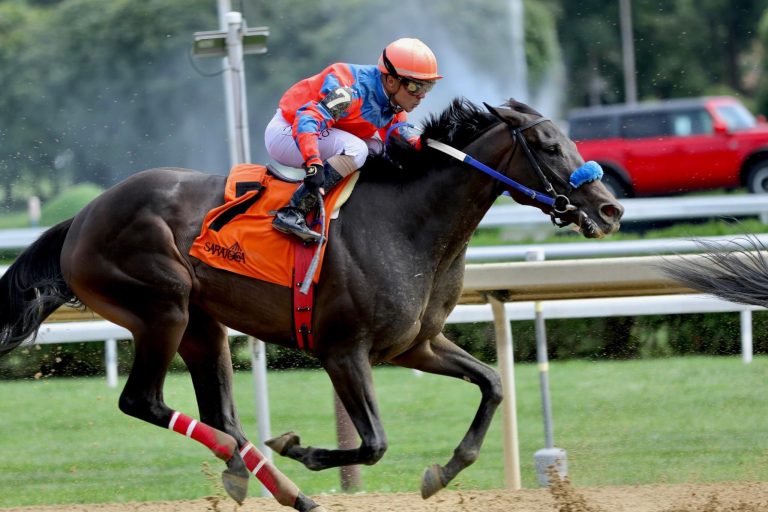Resultados de parx racing de hoy: Datos para las carreras de hoy MasterBets.com
