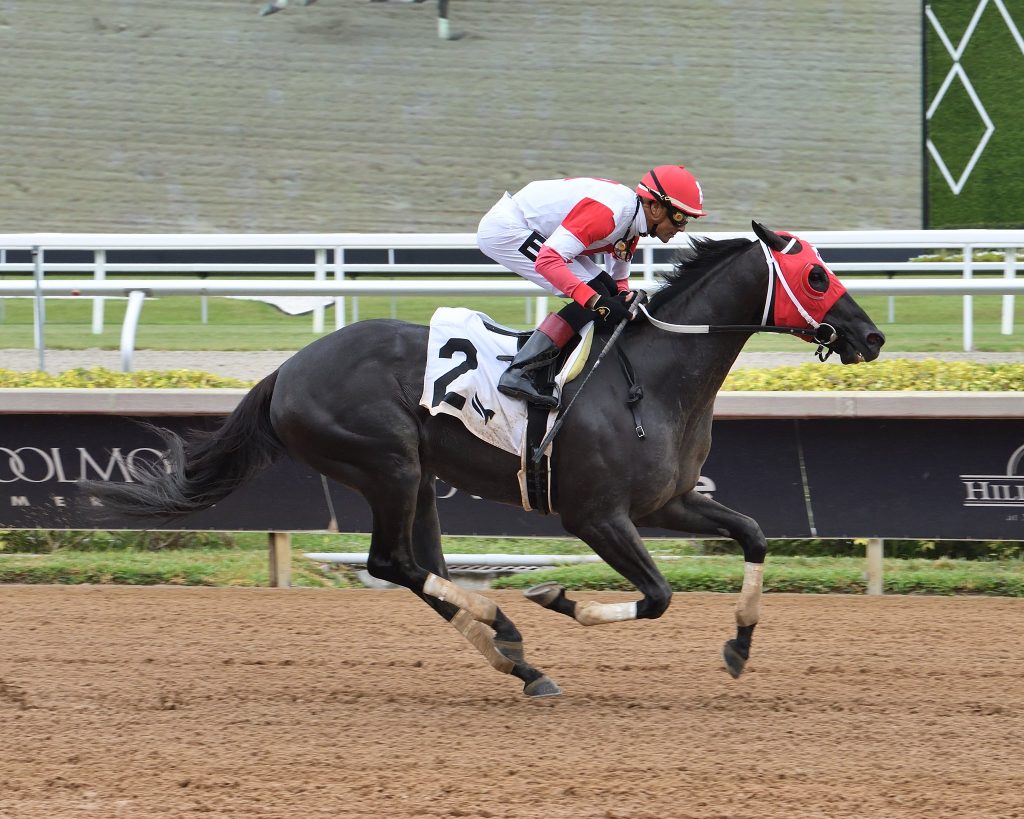 Gulfstream Park Picks: Retrospecto de carreras americanas para hoy MasterBets365.com