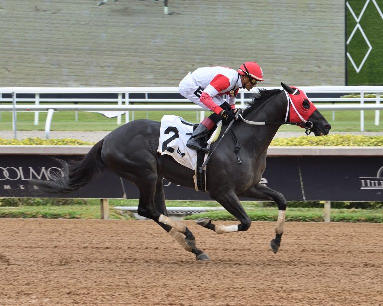 Gulfstream Park Picks: Retrospecto de carreras americanas para hoy MasterBets365.com