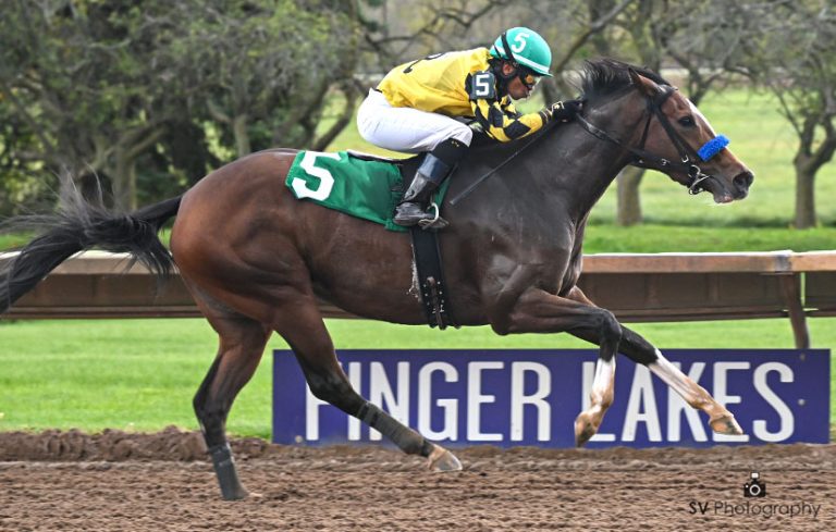 Finger Lakes picks: Datos y picks gratis para carreras americanas MasterBets365.com