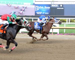 Horseshoe indianapolis en vivo: Marcas carreras americanas MasterBets365.com