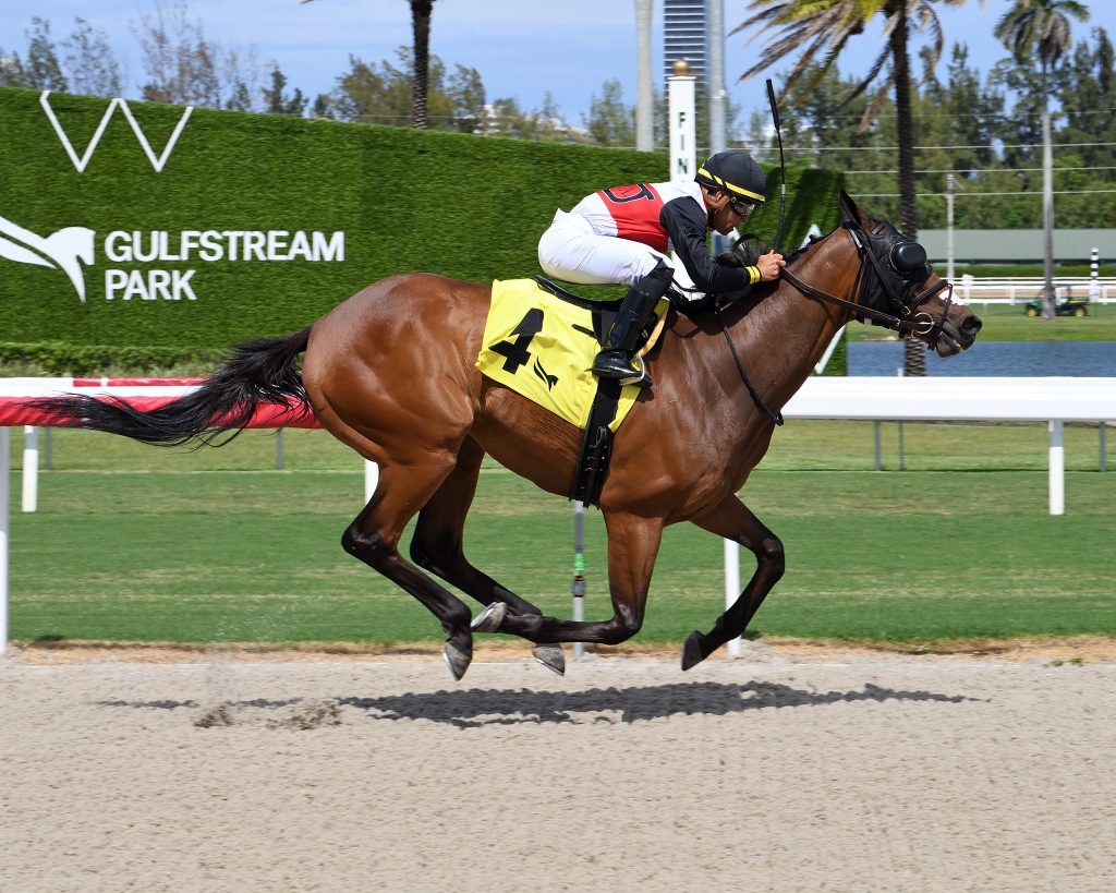 Gulfstream Park resultados: Marcas carreras americanas MasterBets365.com