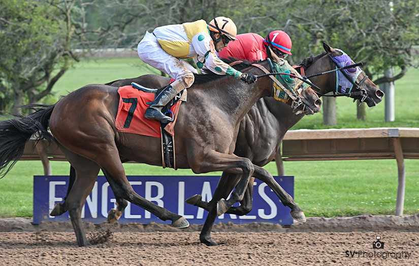 Finger Lakes Results: Carreras americanas en vivo hoy MasterBets365.com