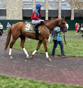 Parx Racing en vivo hoy: Marcas para las carreras americanas Masterbets365.com