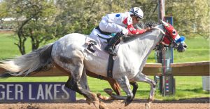 Datos finger lakes: Hipismo internacional en vivo hoy MasterBets365.com